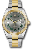 Rolex Yellow Gold & Steel Datejust 41 Wimbledon Oyster
